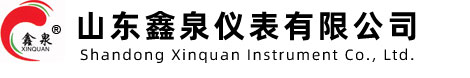 山東鑫(xīn)泉儀表有限公司
